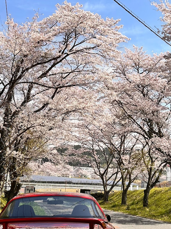 の投稿画像7枚目