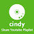 YouTube™ Playlist Share - cindy