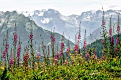 primapage alpen tour savoyen frankreich