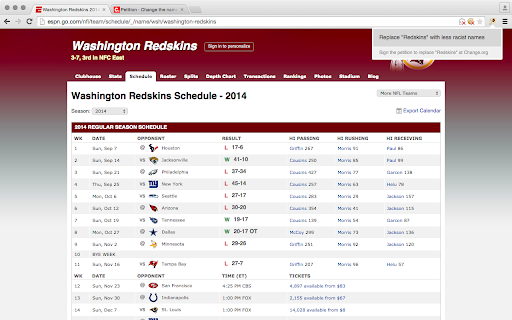 Redskins Web Skin