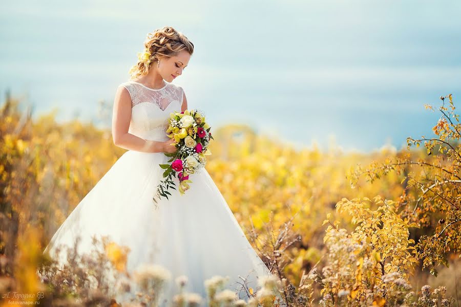 Fotografo di matrimoni Aleksey Gorodko (agor). Foto del 22 gennaio 2014