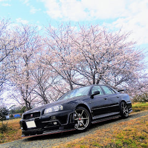 スカイライン ENR34