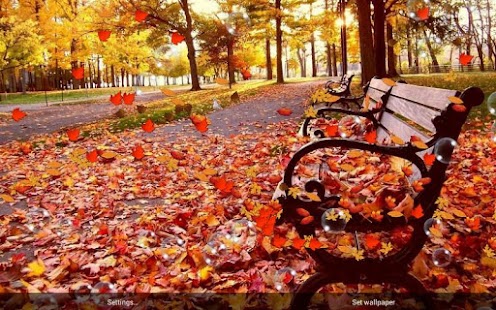 Autumn Pro Live Wallpaper apk Review