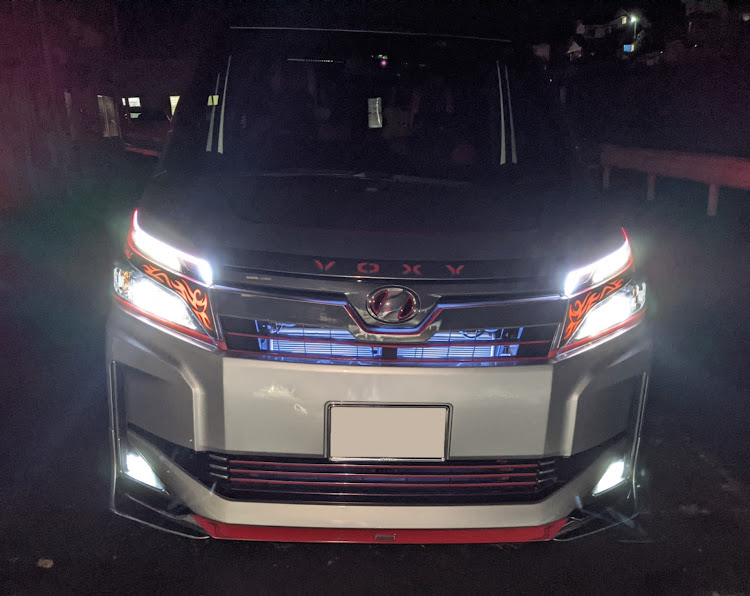 ヴォクシーのチームピンスト・No.001・Red Daemon Style・Homuraステッカーに関するカスタム事例の投稿画像3枚目