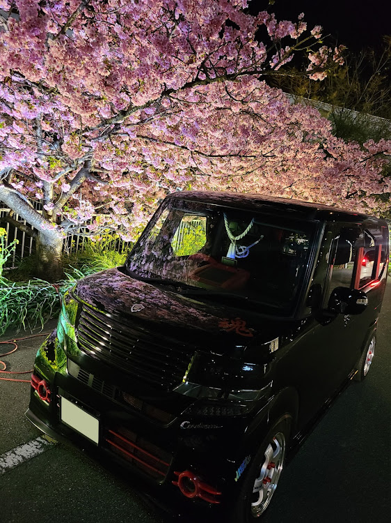 Nボックスカスタムの河津桜・SO魂UL❤宜しくお願い致します❤・全日輩会、関輩東、東輩海、東輩北、関輩西、中輩国・東海輩会・告知に関するカスタム事例の投稿画像6枚目