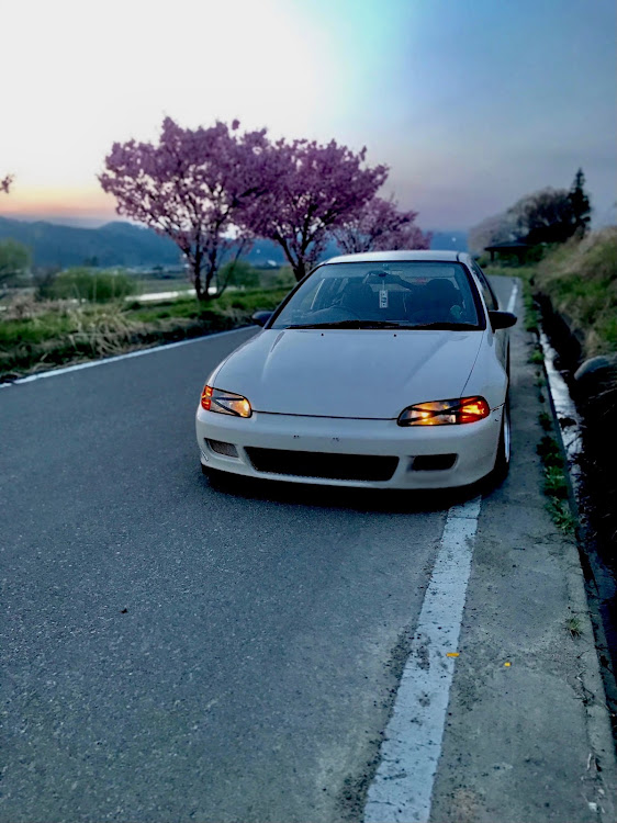 シビックの車高調整・ホイール交換・河津桜・DIY・バレンタインに関するカスタム事例の投稿画像1枚目
