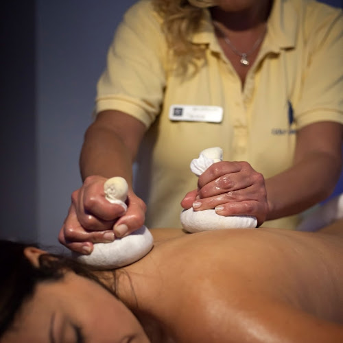 una mujer recibe un masaje en la espalda en un spa