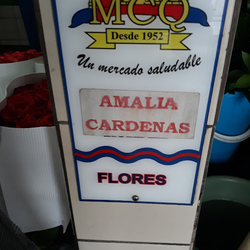 Opiniones de Amalia Cardenas en Quito - Floristería