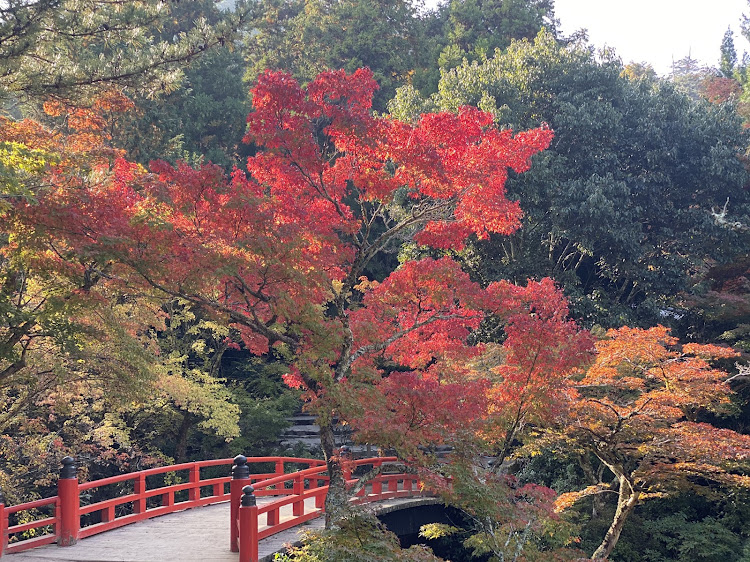 の投稿画像3枚目