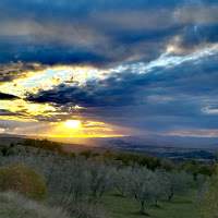 Meraviglia Amiata/Maremma di 