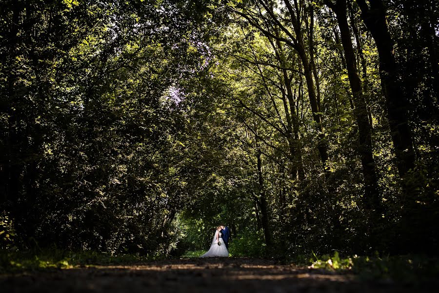 Wedding photographer Erwin Van Oosterom (evophotography). Photo of 23 September 2015