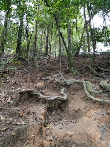 Tasik Biru hiking trail