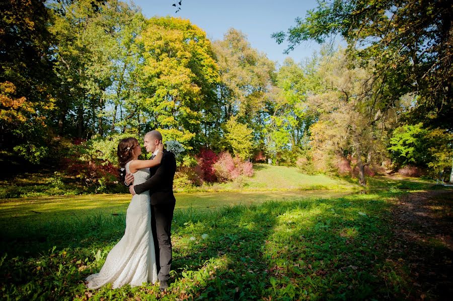 Fotografo di matrimoni Dmitriy Sapozhnikov (sapojnikov). Foto del 29 gennaio 2015