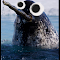 Item logo image for Corbyn to Narwhal