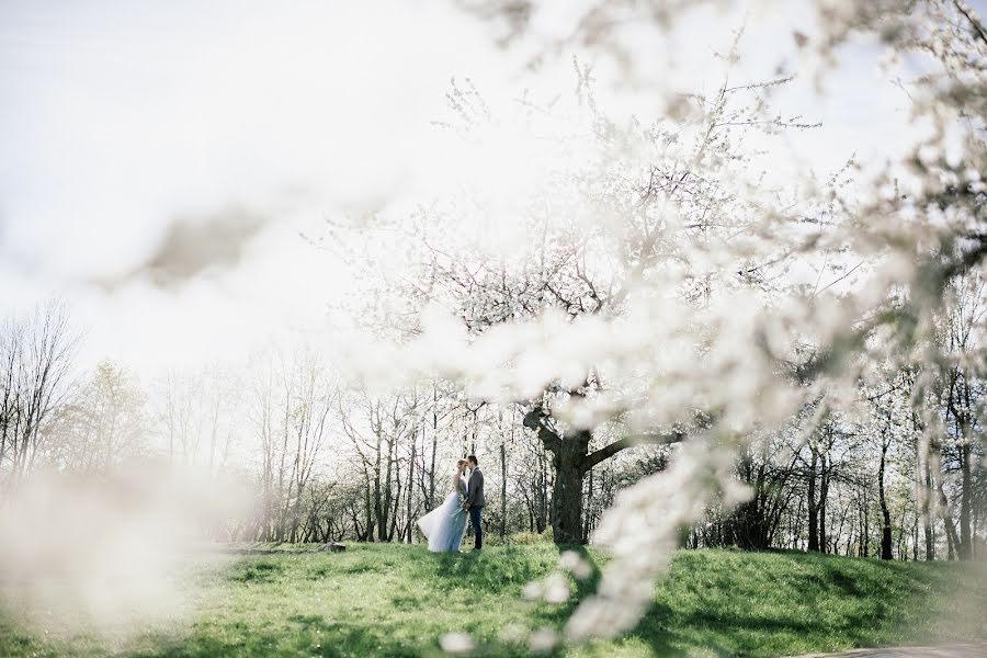 Wedding photographer Anastasiya Bogdanova (abogdanova). Photo of 20 August 2015