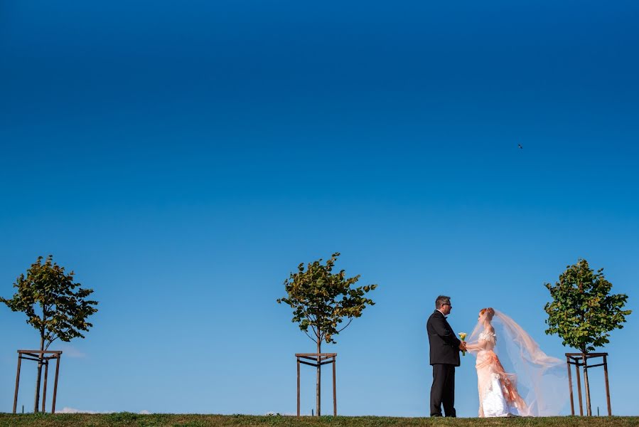 Hochzeitsfotograf Oleg Gurov (amazing). Foto vom 4. August 2019