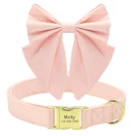 Pink Bowknot
