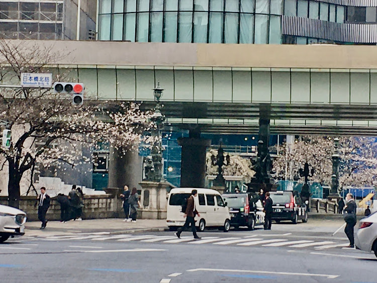 コペンの日本の春☘️の花便り祭り!第四弾!日本の四季を楽しみましょう！・幸せは自分自身で見出す物で他人から与えられる物では有りません！最高だね！・貧乏しても心❤️の貧乏人には成りたく無いですね！最高だね！・妬み!僻み!は持たず!心❤️豊かに過ごしましょう!最高だね！・人は人です!自分の納得出来る生き方をしましょう!最高だね！に関するカスタム事例の投稿画像20枚目