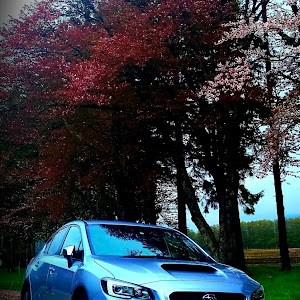 WRX S4 VAG