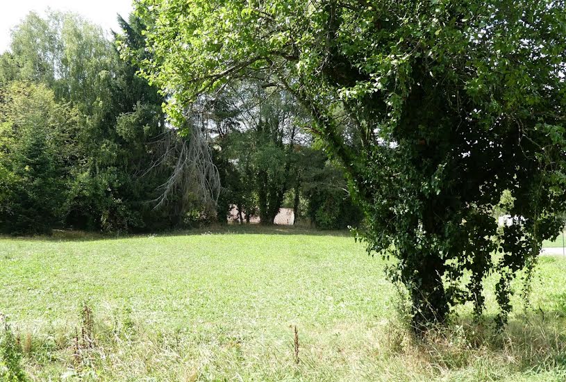  Vente Terrain à bâtir - 1 555m² à Châteauneuf-la-Forêt (87130) 