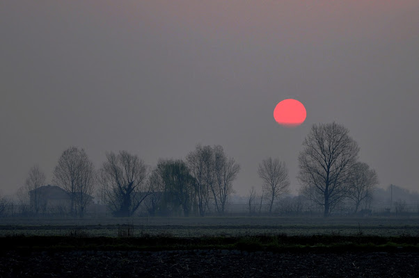 Alba nella pianura vercellese di tieros