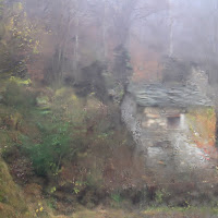 La casa nel bosco di 