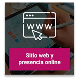 Sitio web y presencia online