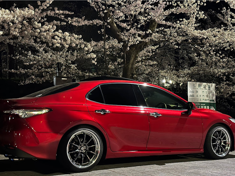 カムリの桜とコラボ・桜・70カムリ・弘前公園に関するカスタム事例の投稿画像6枚目