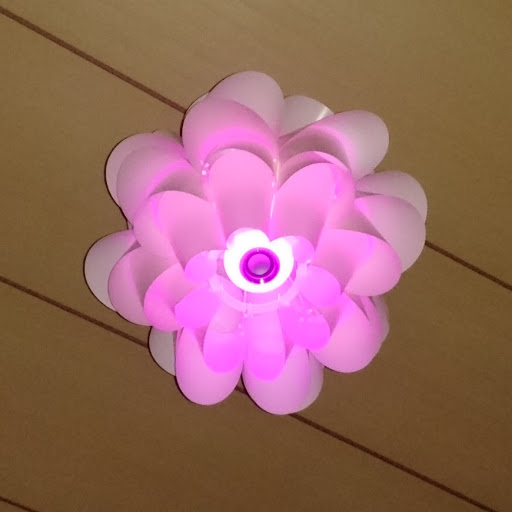 夜