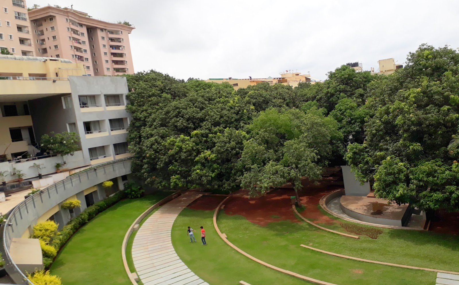 Trees at Woodrose.jpg