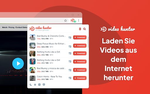 Video Hunter Downloader