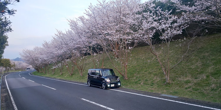 Nボックスカスタムのタイミング逃した桜コラボ・コロナウイルスに負けるな・桜に関するカスタム事例の投稿画像21枚目