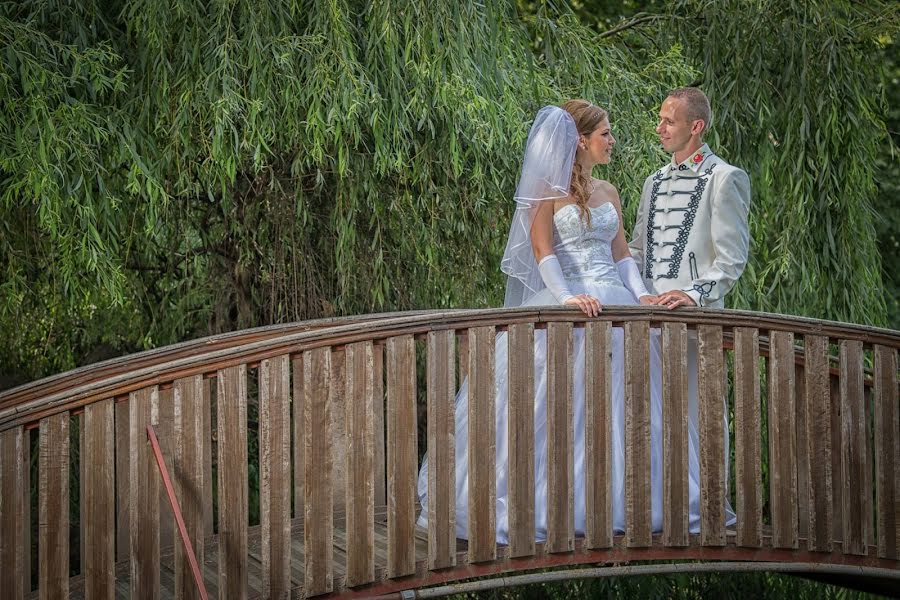 Fotografo di matrimoni Fodor Laci (lacafoto). Foto del 24 febbraio 2019