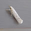 Bird-cherry Ermine