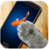 Fish Pointer for Cats Simulator2.1