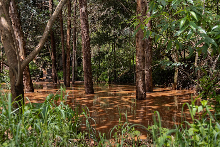 Flooded area at the Kijabe railway on May 7, 2024.