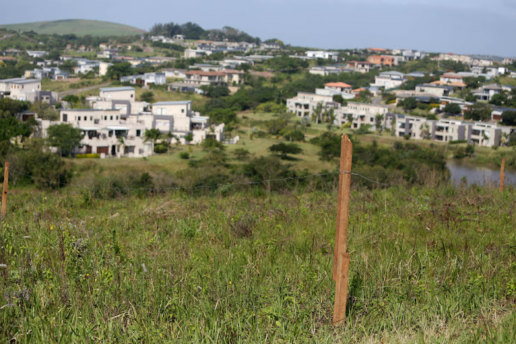 Land grabbers have demarcated plots on the hillside that flank the plush Palm Lakes Estate on Durban's north coast.