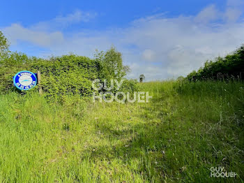 terrain à Bernay (27)