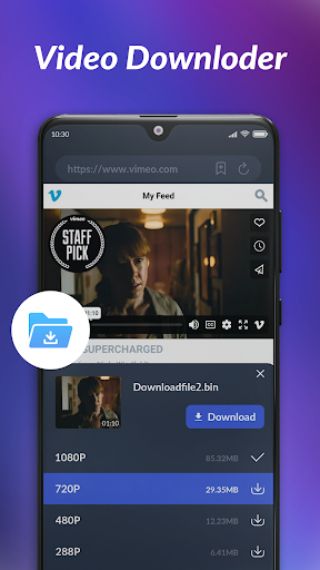 Screenshot Wonder Browser: Video Download