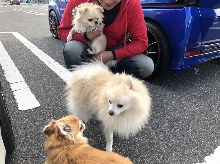 WRX STIの食Tune・N-BOX・関西舞子サンデー・魚太郎・クラウンに関するカスタム事例の投稿画像24枚目