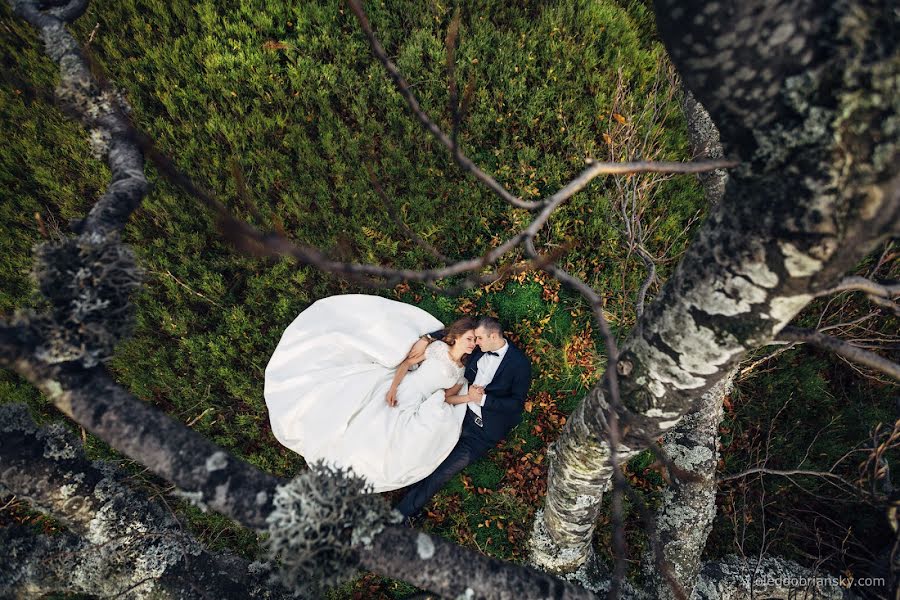 Fotógrafo de casamento Oleg Dobrianskyi (dobrianskiy). Foto de 11 de novembro 2016