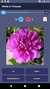 World of Pics(圖4)-速報App