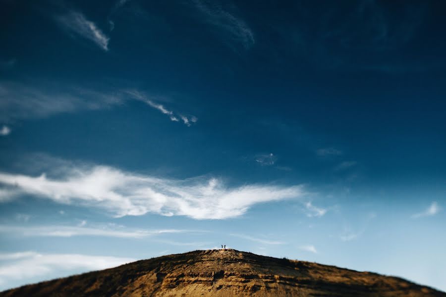 Vestuvių fotografas Dmitriy Lebedev (lebedev). Nuotrauka 2016 rugpjūčio 4