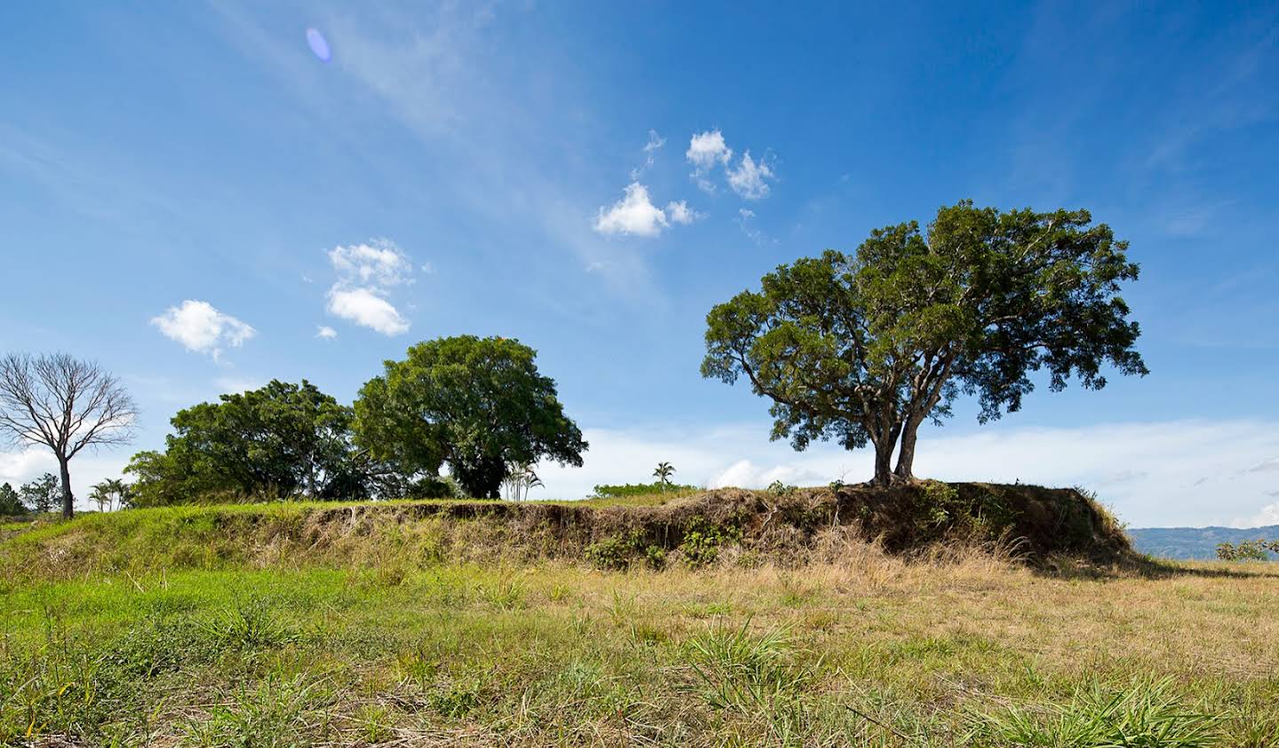 Terrain Alajuela