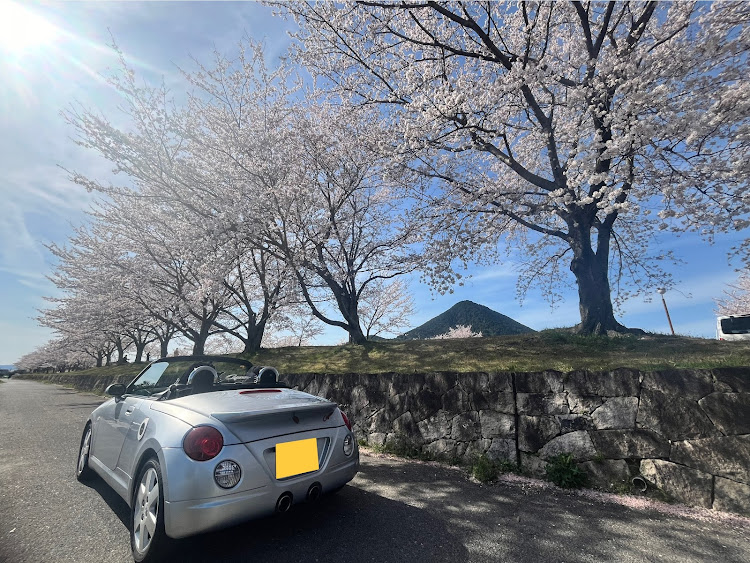 コペンのサクラと愛車・コペンのある生活・コペン乗り・コペンl880k・桜とコラボに関するカスタム事例の投稿画像1枚目