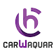 Download CARWAQUAR For PC Windows and Mac 0.0.3