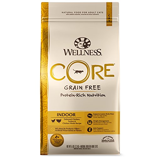 Wellness Core Natural Grain Free Comida seca para gatos