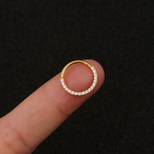 Title 6, Closed ring made of pure, seamless stainless st...
