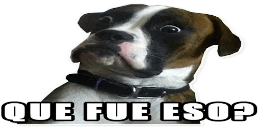 Memes con Frases Stickers en español para WhatsApp on Windows PC Download  Free  