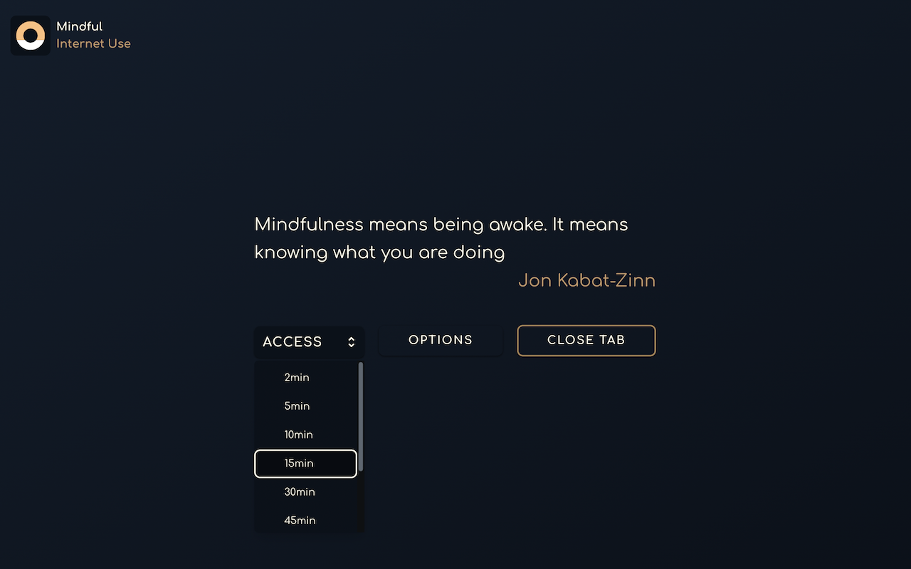 Mindful Internet Use Preview image 4